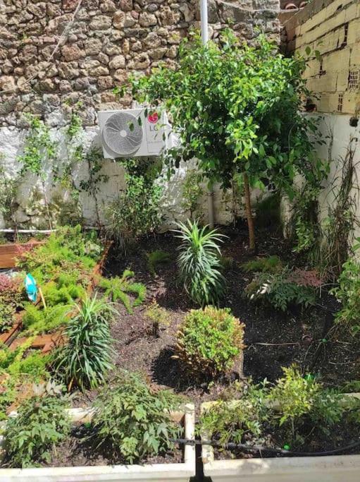 Daire Center Of Old Town,2+1 Flat With Garden *
